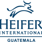 Heifer_Logo_Azul_Vertical_GT_peque